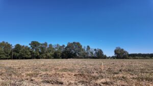 Property photo for land for sale in Duplin County North Carolina