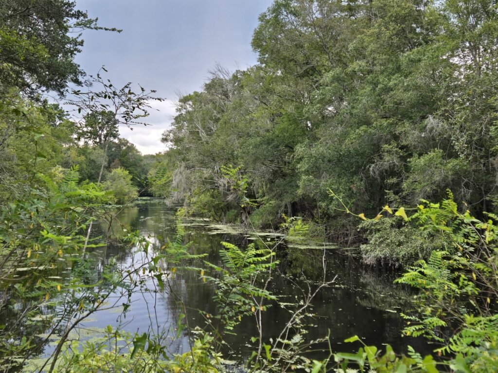 Property photo for land for sale in Dixie County Florida