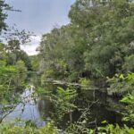 Property photo for land for sale in Dixie County Florida
