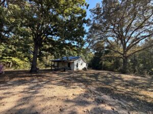Property photo for land for sale in Carroll County Tennessee