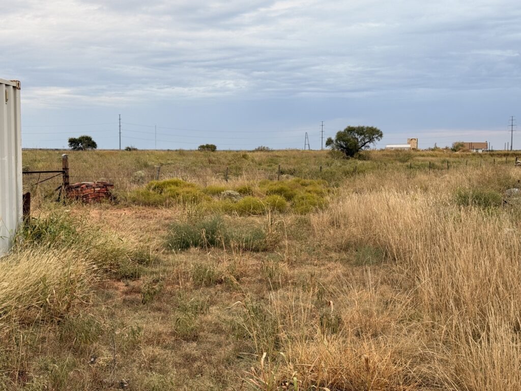 498d8cda-22fd-48d1-aaaa-00da20f0d8db.jpg