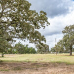 Property photo for land for sale in Washington County Texas