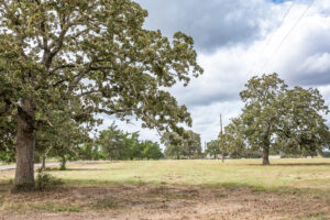 Property photo for land for sale in Washington County Texas