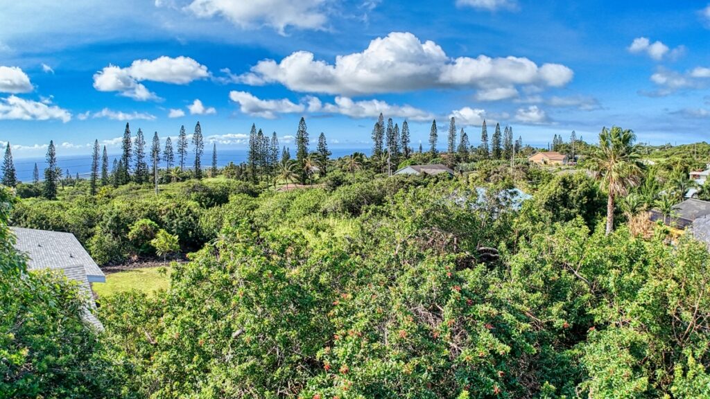 Property photo for land for sale in Hawaii County Hawaii