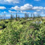 Property photo for land for sale in Hawaii County Hawaii
