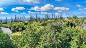Property photo for land for sale in Hawaii County Hawaii