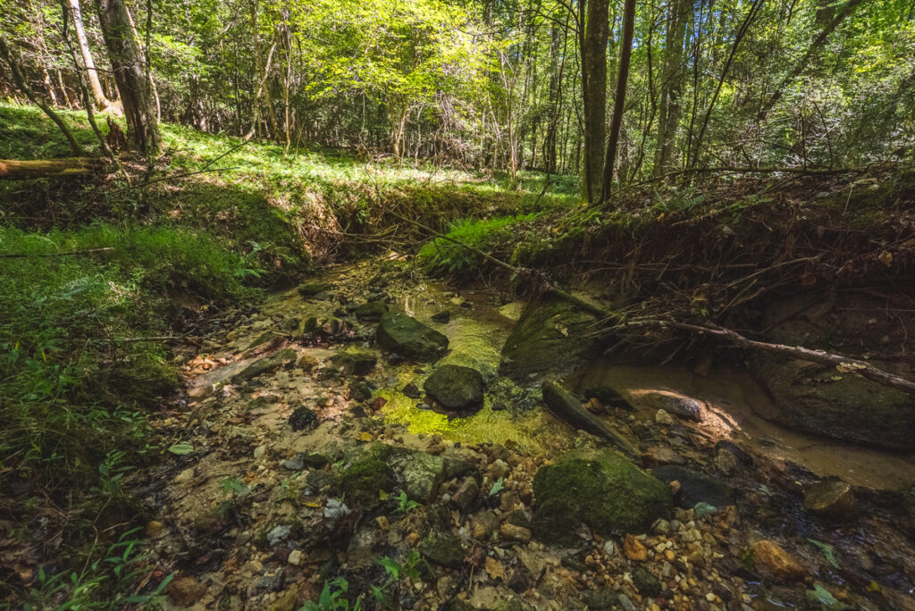 4efeab66-d6d1-43f1-a13e-2a8570e8c307.jpg