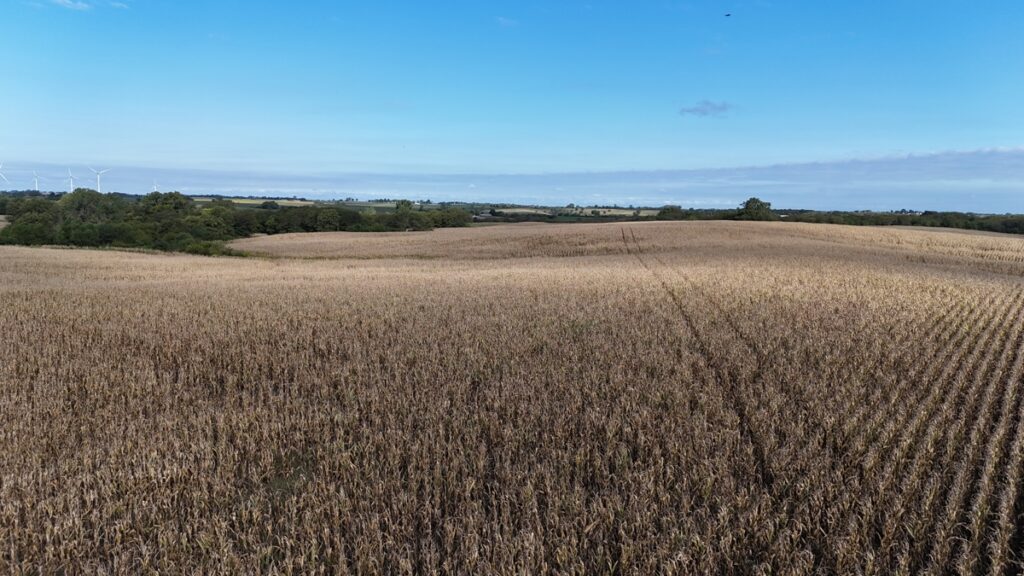 Property photo for land for sale in Gentry County Missouri