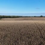 Property photo for land for sale in Gentry County Missouri