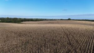 Property photo for land for sale in Gentry County Missouri