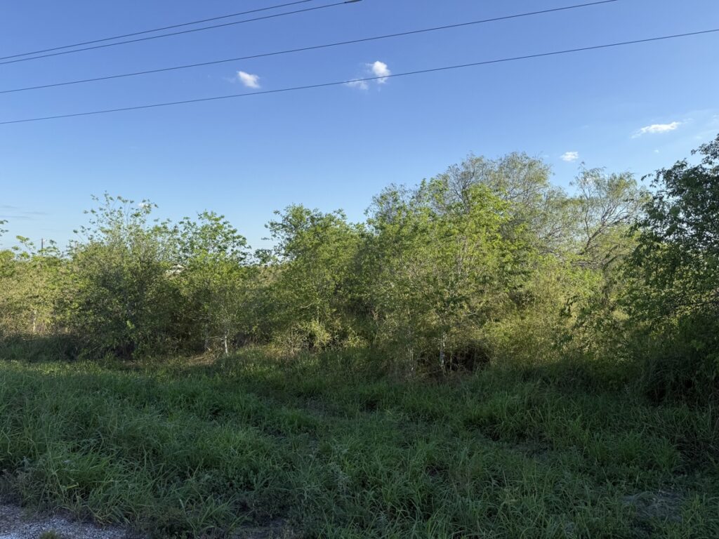 53588368-4b1a-4a23-8e27-ccd3028feafc.jpg