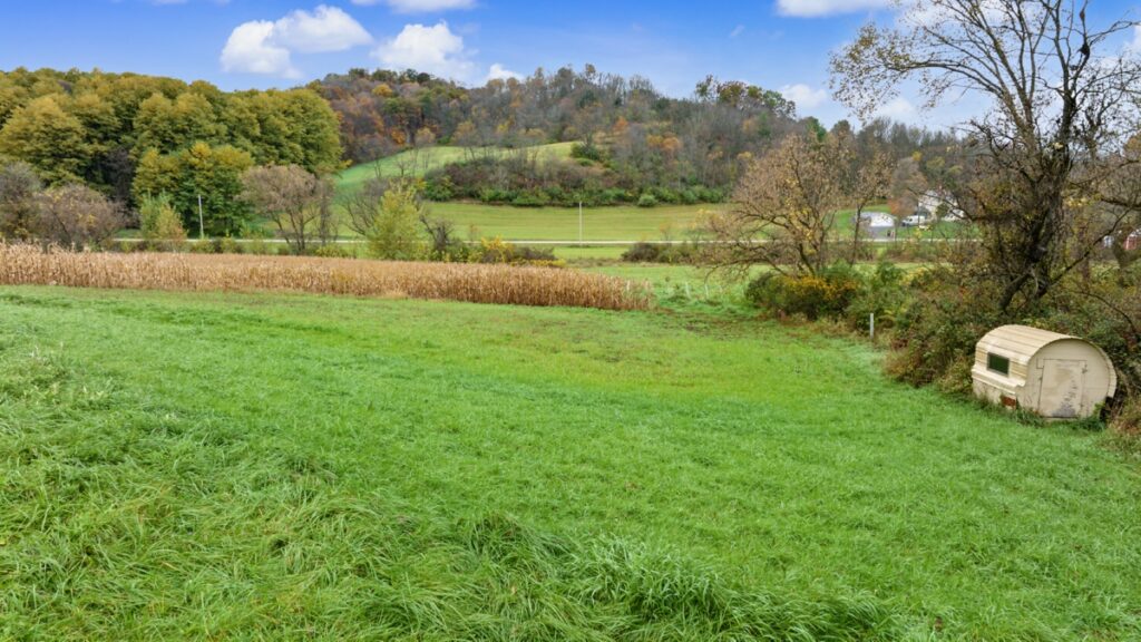 5446585d-6194-4574-b558-9bc30ddec3ca.jpg