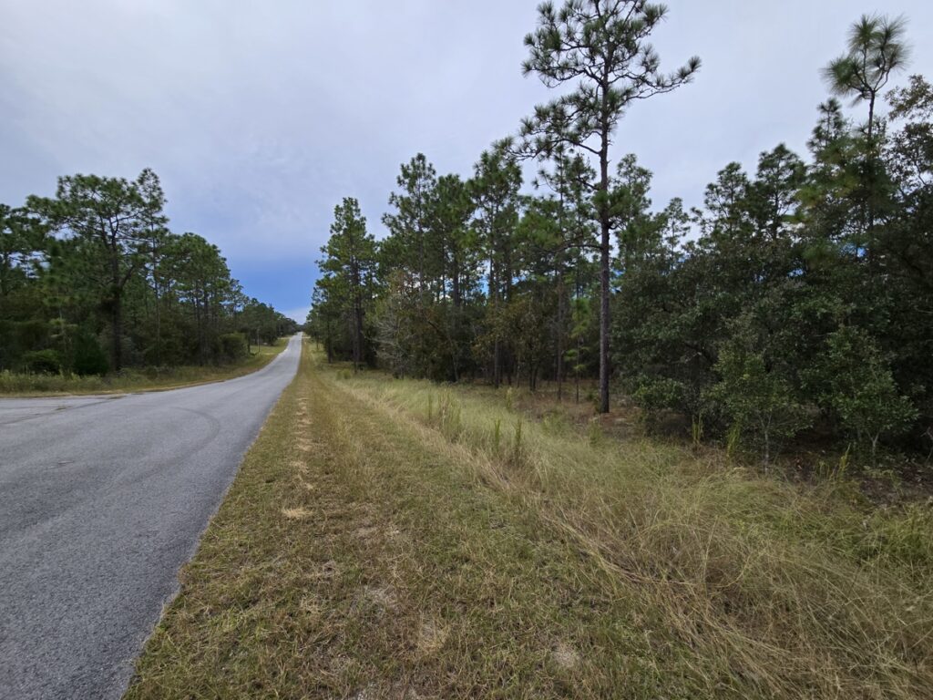 Property photo for land for sale in Levy County Florida