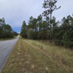 Property photo for land for sale in Levy County Florida