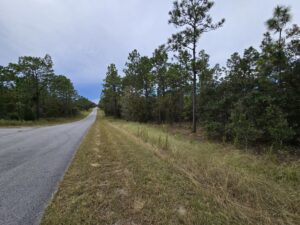 Property photo for land for sale in Levy County Florida