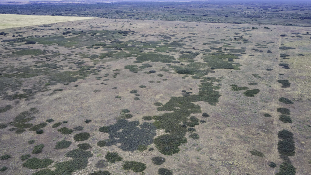Property photo for land for sale in Motley County Texas