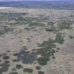 Property photo for land for sale in Motley County Texas