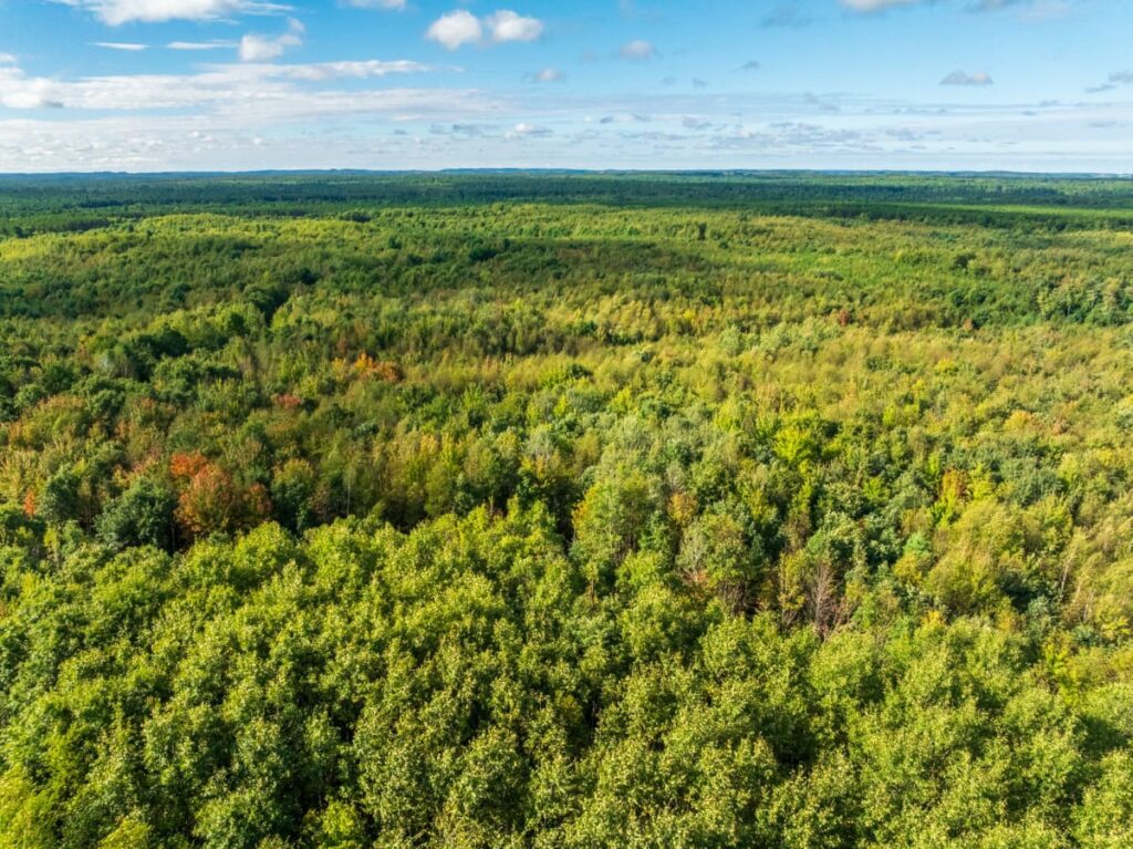Property photo for land for sale in Eau Claire County Wisconsin