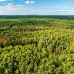 Property photo for land for sale in Eau Claire County Wisconsin
