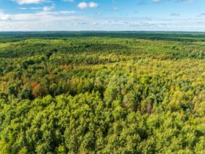 Property photo for land for sale in Eau Claire County Wisconsin