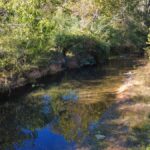 Property photo for land for sale in Lewis County Tennessee