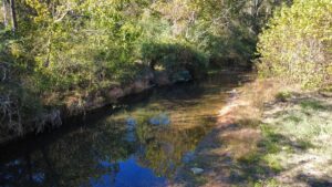Property photo for land for sale in Lewis County Tennessee