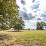 Property photo for land for sale in Washington County Texas