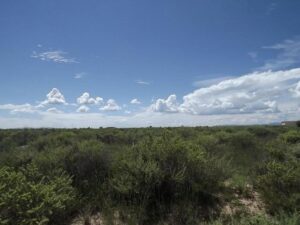 Property photo for land for sale in Torrance County New Mexico