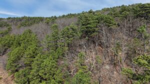 Property photo for land for sale in Latimer County Oklahoma