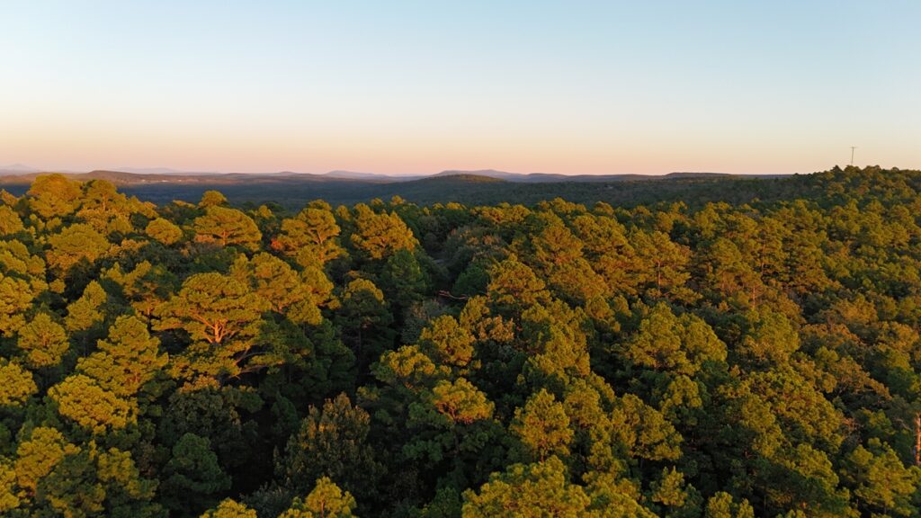 Property photo for land for sale in County Oklahoma