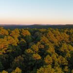 Property photo for land for sale in  County Oklahoma