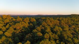 Property photo for land for sale in  County Oklahoma
