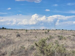 Property photo for land for sale in Torrance County New Mexico