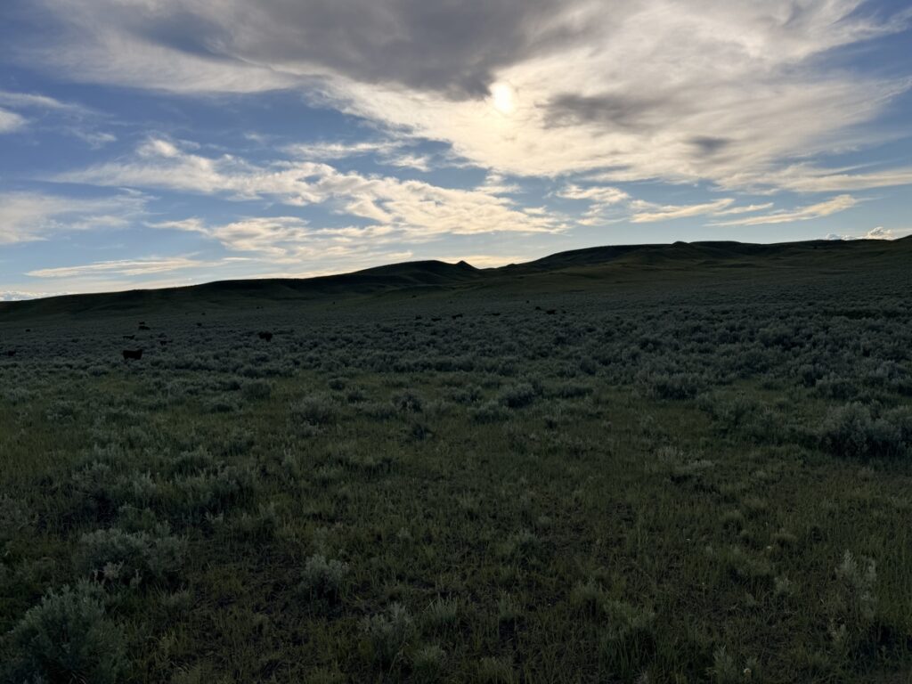 607aa444-8ea7-43b2-9cf6-11e8ca587a88.jpg