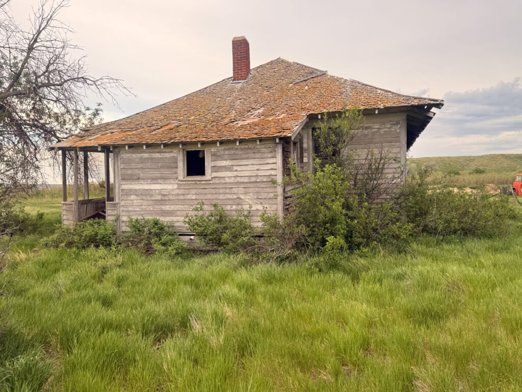 619c96fb-1d0b-4ef7-a2d1-867ed9cdaaab.jpg