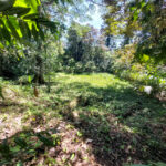 Property photo for land for sale in  County Panama