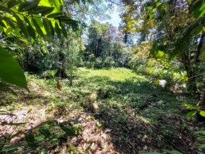 Property photo for land for sale in  County Panama