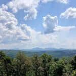 Property photo for land for sale in Fannin County Georgia