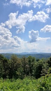 Property photo for land for sale in Fannin County Georgia