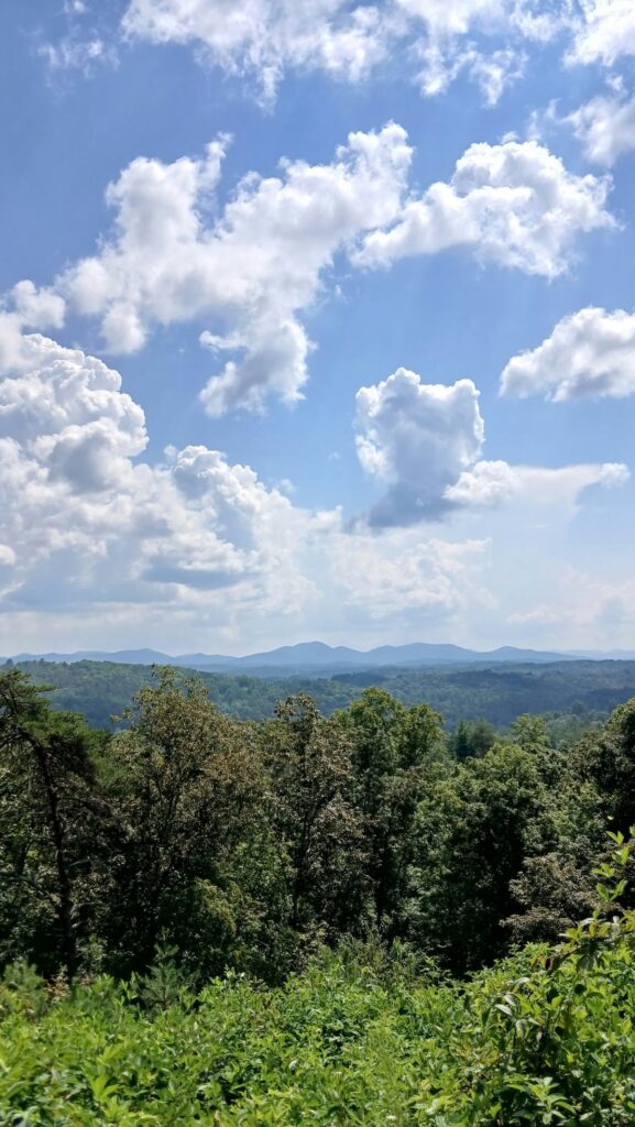 Property photo for land for sale in Fannin County Georgia
