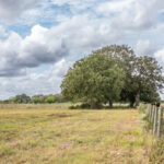 Property photo for land for sale in Washington County Texas