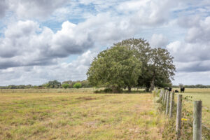 Property photo for land for sale in Washington County Texas