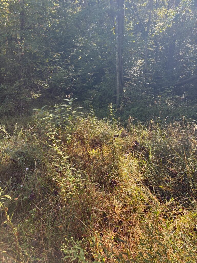 6522f0c2-2347-4f27-ab5d-076fbcbdfb51.jpg