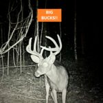 Property photo for land for sale in Alcorn County Mississippi