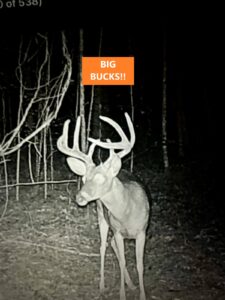 Property photo for land for sale in Alcorn County Mississippi