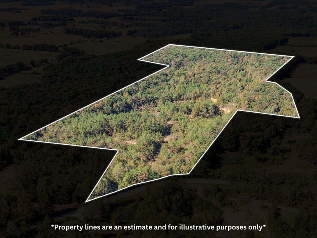 Property photo for land for sale in Lawrence County Tennessee
