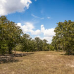 Property photo for land for sale in Lee County Texas