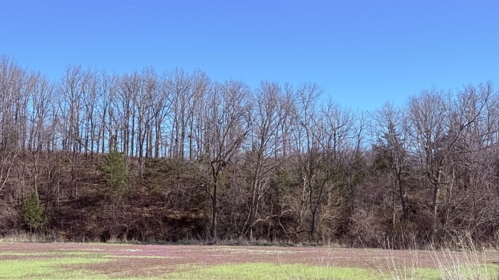 6e3f3158-07cb-4732-85fe-a40c3ebc2eeb.jpg