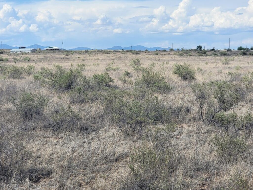 Property photo for land for sale in Torrance County New Mexico