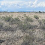 Property photo for land for sale in Torrance County New Mexico